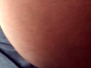 fucking this phat booty thot?