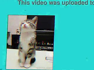 How bad can a hentai be if Tsui no Sora reviews it