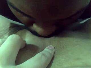 sucking the young kitten softly