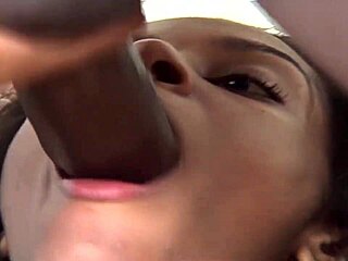 I Gave A Rough Fuck To The Wild Slut