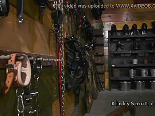 Mistress Anal Fucks Lesbian Babes