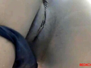 Jamaican girl bent over for cumshot in front of boyfriend