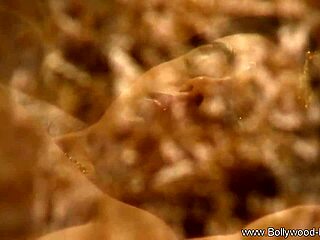 Beautiful brunette undresses in nude erotic dance