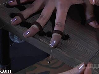 femdom goddess dominates