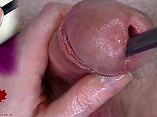 Intense close-up of the head during urethral play with a dilator