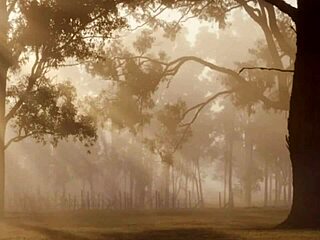 levei minha namorada para a casa na fazenda