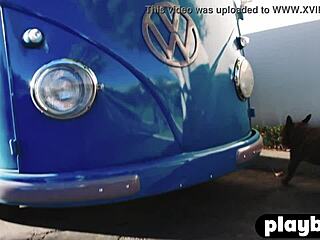 perfect brunette alexandra tyler posed outdoor and exposed her nice boobs