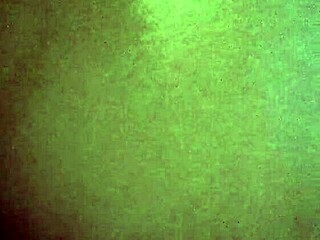 Quarantine Oily Horny Brownie Ass