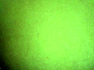 Quarantine Oily Horny Brownie Ass