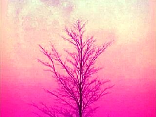 Happy Holidays With Huge Tits And Cum For BBW