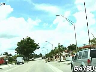 Two gay hunks engage in blowjob and cock sucking during sex