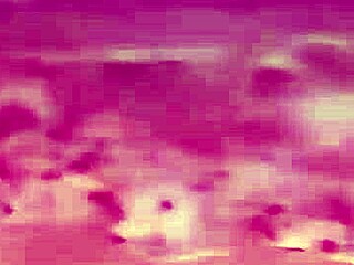 brunette brazilian carol nakamura in making of remastered scenes