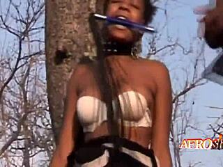 afroslave african bucks neger sklavinnen edit ass