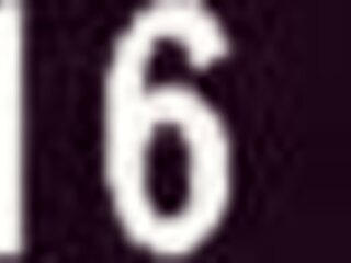 Look at these homemade prostitutes!