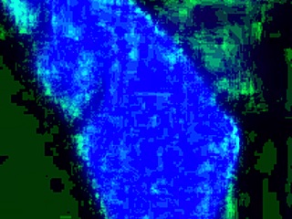 school friend shares secrets at recess