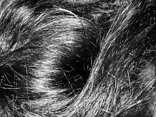 Shemale Noir Interracial Monster Cock Big Black Cock Amateur Transsexual Homemade