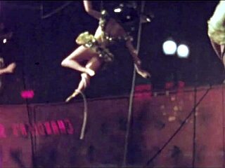 Vintage Erotic Illustration