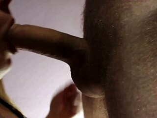 gentle slow blowjob for your lover in intimate moment