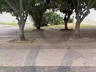 walks on the flamengo landfill then bathes at home