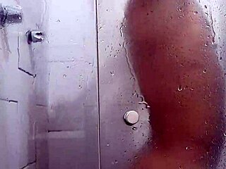 walks on the flamengo landfill then bathes at home