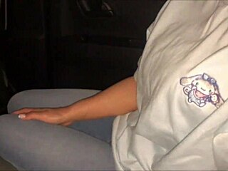 Perverted Asian Couple Excites in Midnight Car Sex