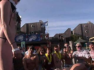 Spring Break Whip Cream Contest with Wild Tit Licking Action