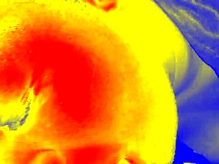 Thermal Sloppy Blowjob With Ebony Fat Handjob Pov Interracial Bbw