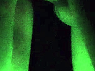 Mother-in-law avoids husband with stepson's friend.