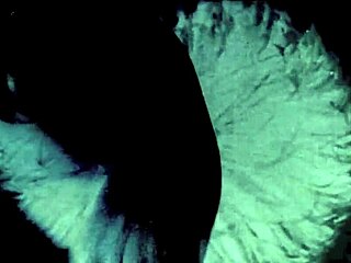 Vintage cartoon illustration of antique artifacts