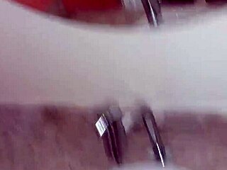 dotado recently arrived in the neighborhood