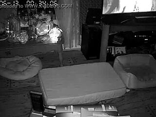 wife gives amazing blowjobs 😘