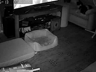 wife gives amazing blowjobs 😘