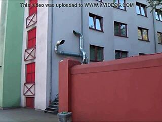 Brothels in Hornstraße 2, Köln, Germany for tourists