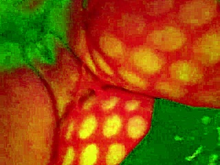 angelg and kuzz drop a wild halloween special sequel