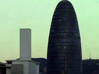 Hairy Pussy Ebony Teen Auditions with Big Dildo in Casting