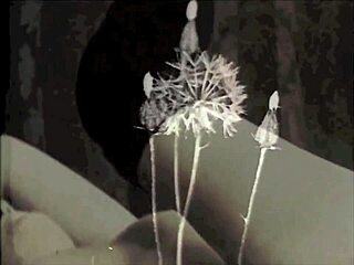 dark lantern entertainment says, 'check out our steam age porn with hairy pussies'