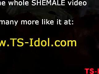 Ebony shemale kysyy, haluatko panemista?