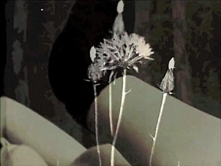 vintage london rope bondage in swinging sixties shadows