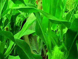 A couple of twinks helping a friend in the cornfield with gay adventures