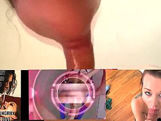 Hot shemale trannies in hardcore anal and blowjobs scenes
