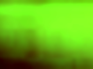 South American Transgender Miss T in Detail