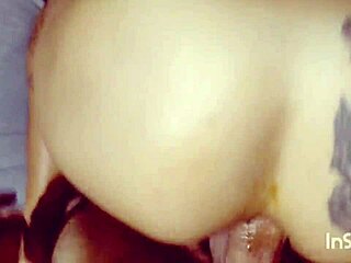 couple enjoys anal sex together