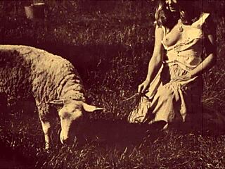 Dark Lantern Entertainment Unveils Beauty and Beast in Retro Action.