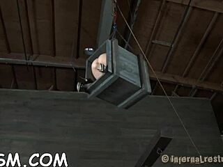 Punishing brunette babe with toys and blowjob in bdsm scene.