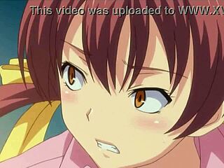 Anime Hentai Big Cock Fucking Ass And Boobs