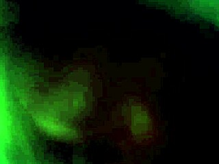 chupando riki in casual oral context