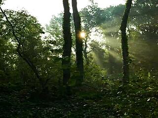 Beautiful Cute Girl Gives Blowjob And Tries Cum