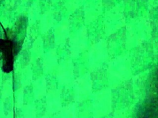 Vietnamese Self-Recorded Video By Tham Truong