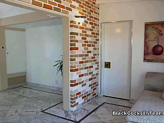 Perky Maya Sucks Huge Black Cock In Interracial Reality Scene