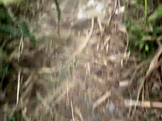 Orgy In The Bush With 4 Well-Endowed Young Twinks At Engenheiro Goulart Complete On Red